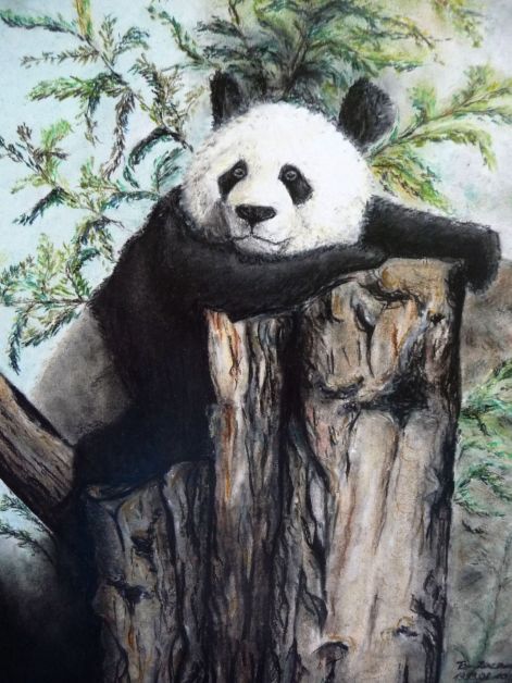Panda - pasztell